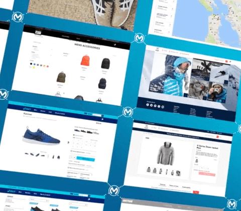 Integrated eCommerce ASICS Case Study
