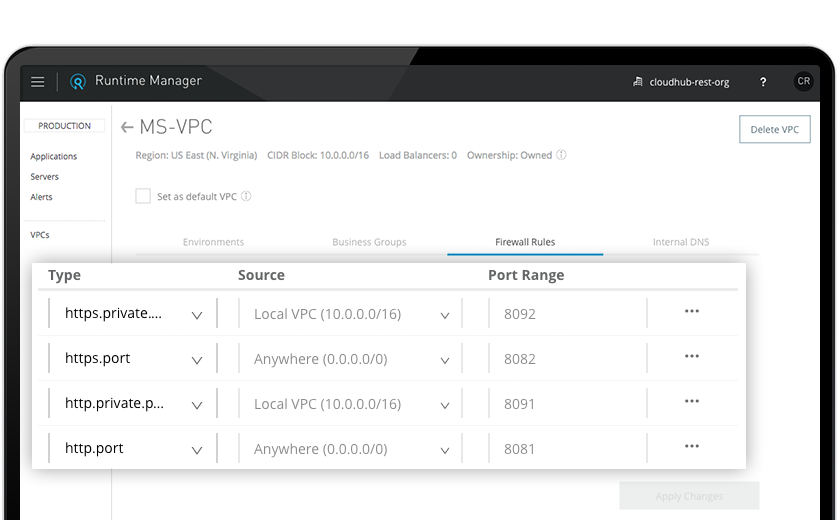 Anypoint VPC screenshot