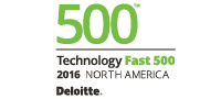500 deloitte 2016