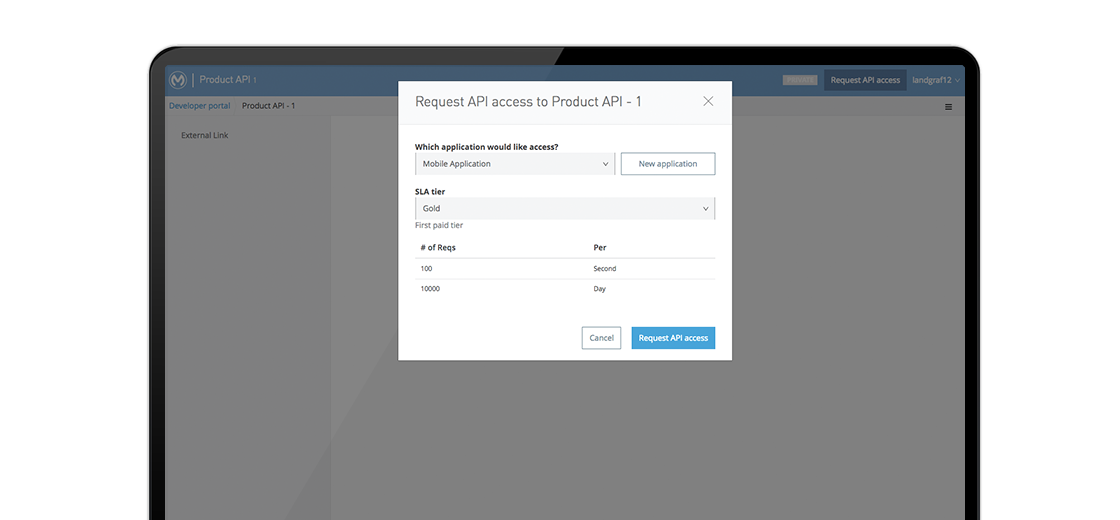 Api Portal Access Management