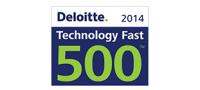 500 deloitte 2014