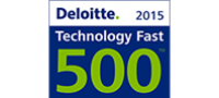 500 Deloitte 2015