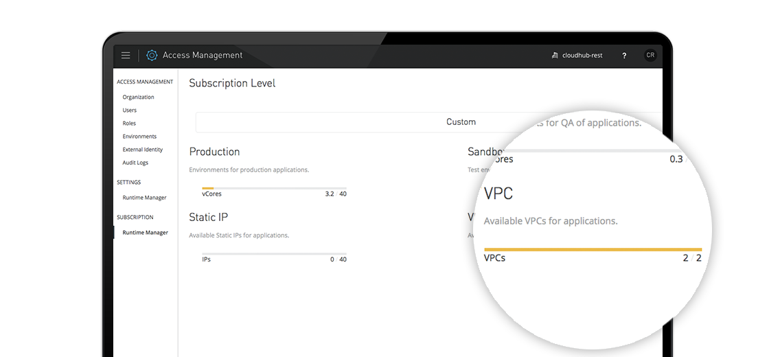 Secure virtual networks screenshot