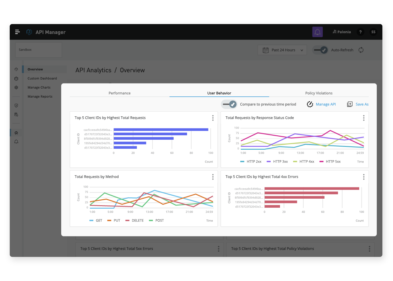 API consumer analytics screencap