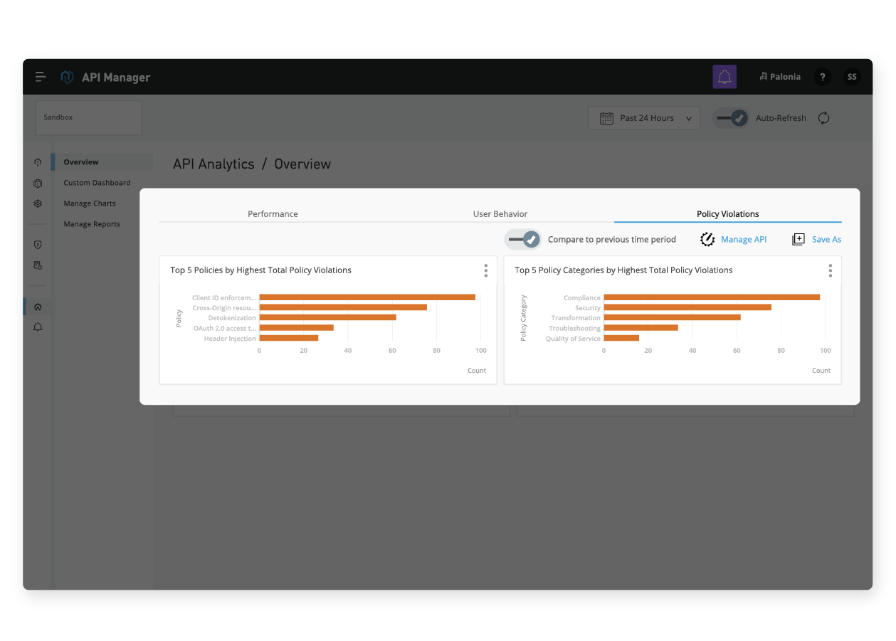 Anypoint Analytics のスクリーンショット機能 3