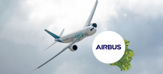 Airbus' digital transformation takes flight with APIs.