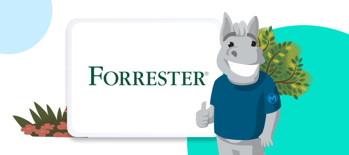 Download a complimentary copy of The Forrester Wave™: API Management Solutions, Q3 2022 and discover why MuleSoft is a Leader.