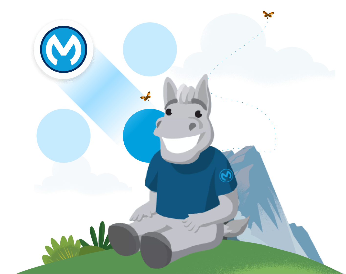 Image MuleSoft ISV partners