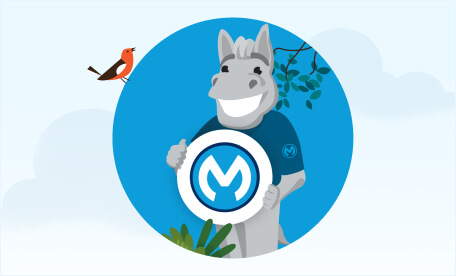 Download free Gartner Magic Quadrant reports to see why MuleSoft is a Leader and Visionary.