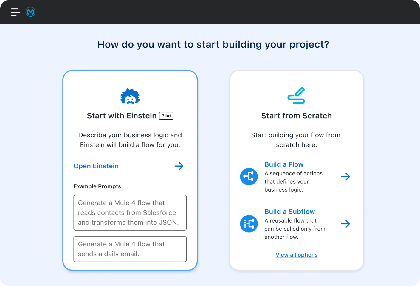 Anypoint Code Builder Einstein AI