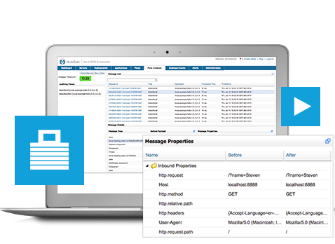 mulesoft level control every