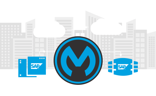 sap-integration