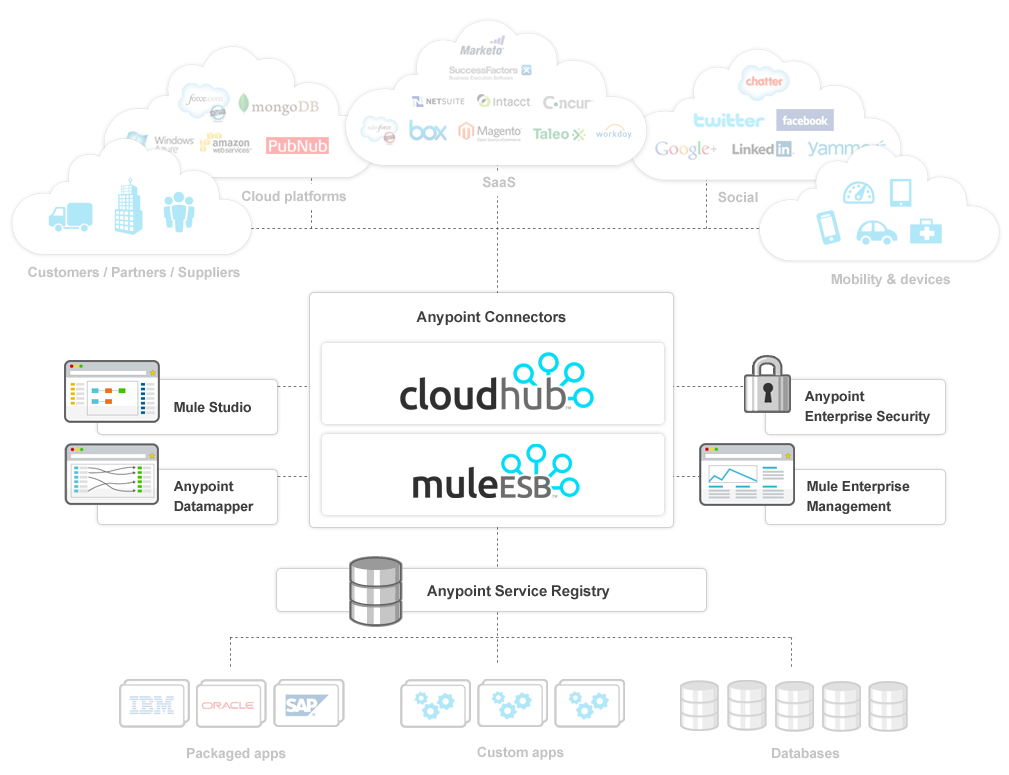 iaas anypoint platform