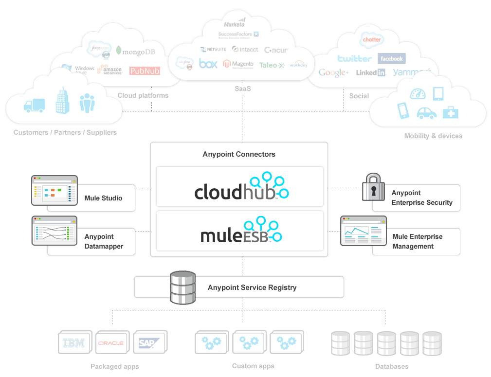 iaas anypoint platform