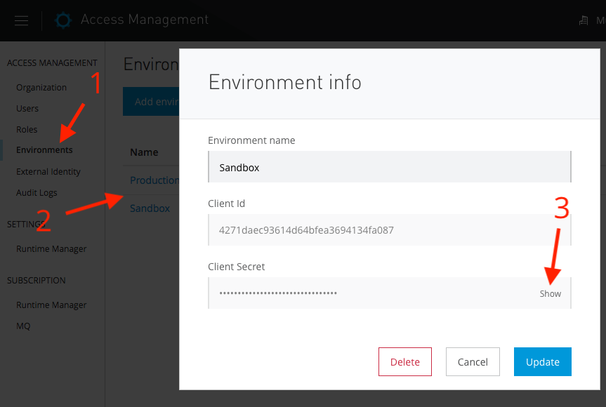setup environment anypoint platform